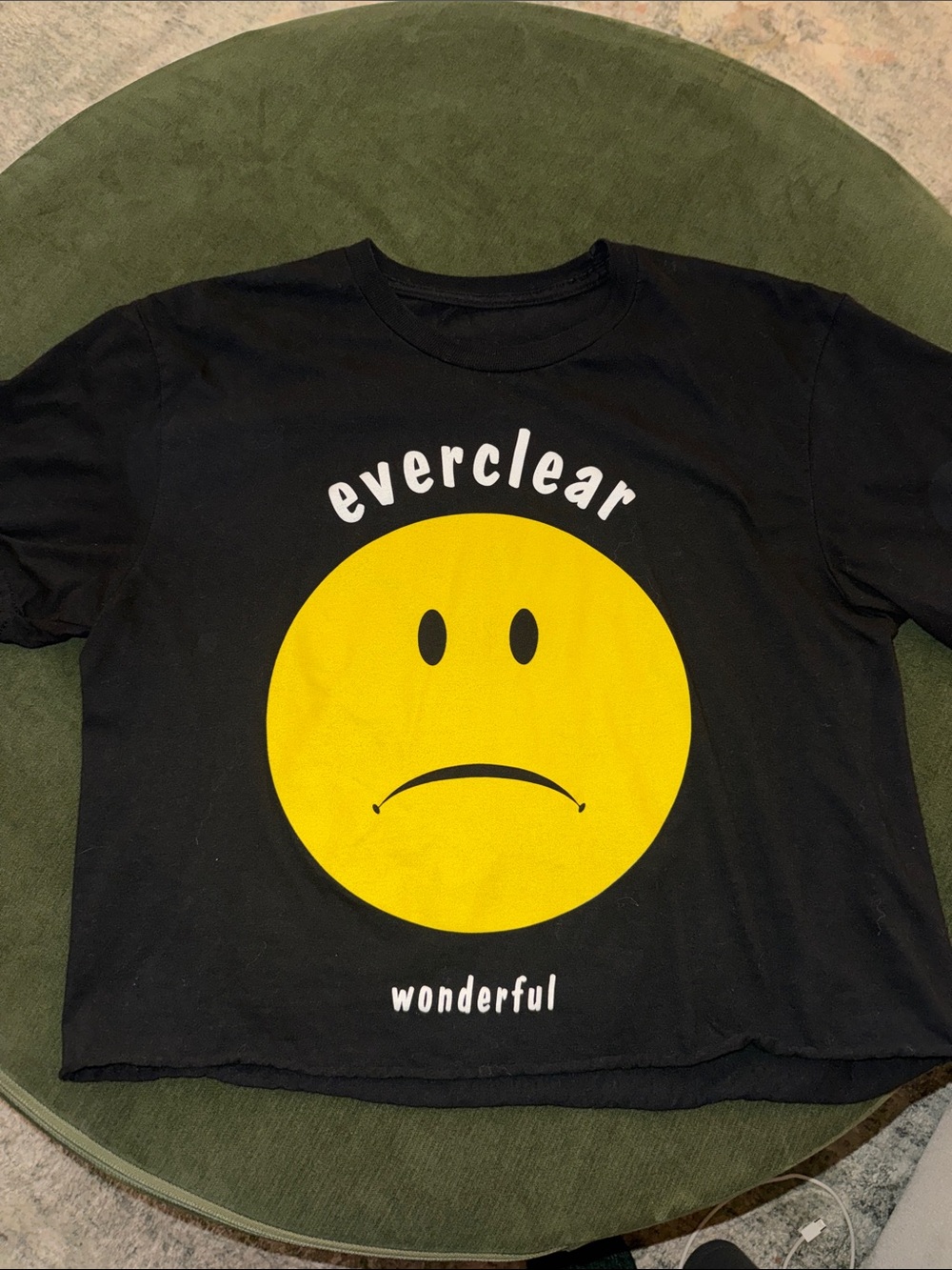 Everclear crop tee